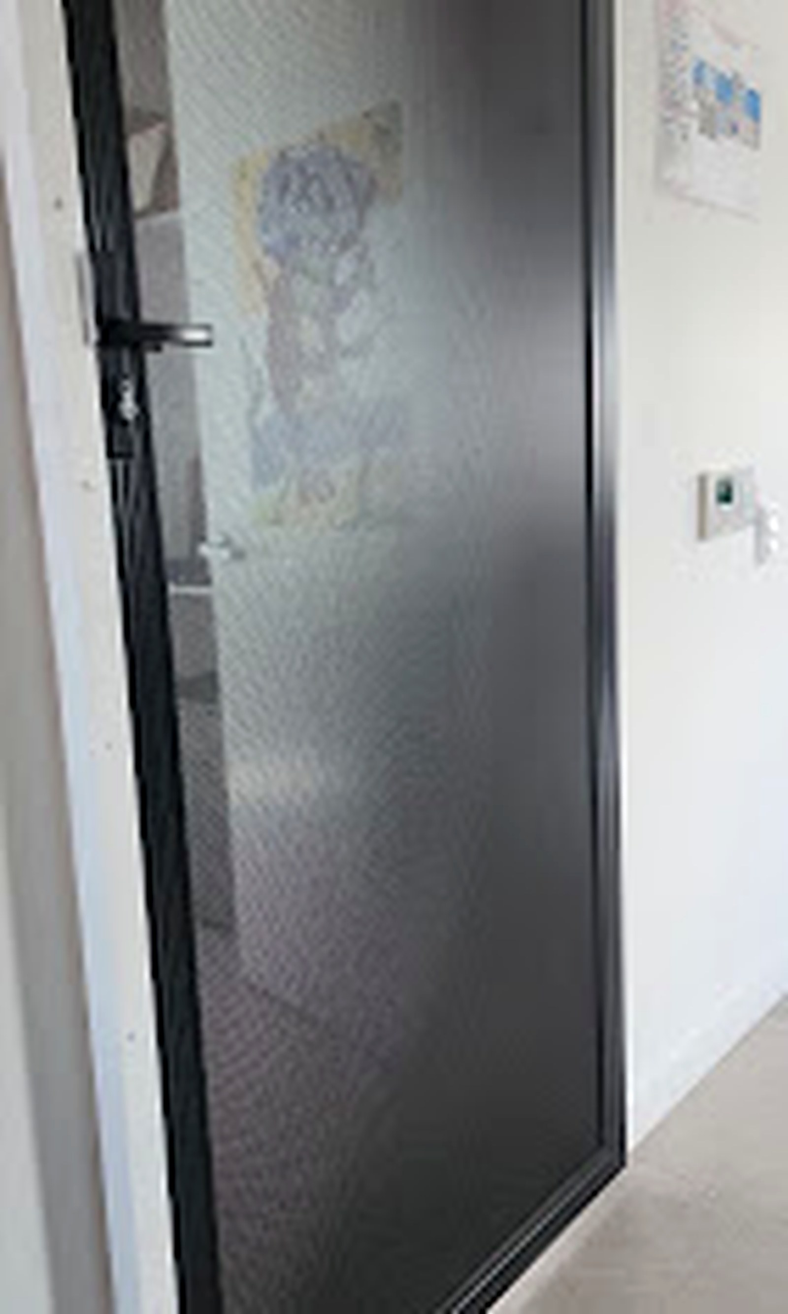 Close-up of a fitted black mesh security door